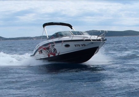 Chaparral Chaparral 225 SSi Cuddy Triple X