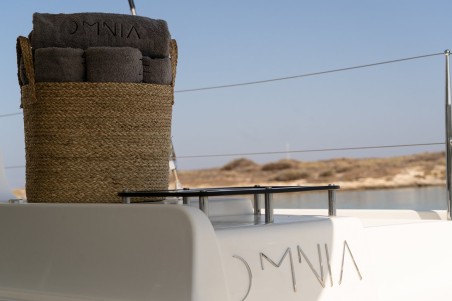 Lagoon-Bénéteau Lagoon 46 - 4 cab. Omnia