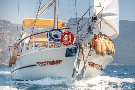 Custom Made Bernis Bernis