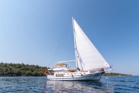 Custom Made Bernis Bernis