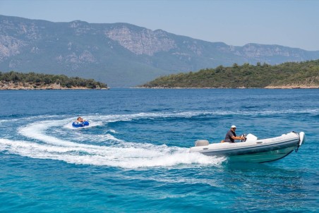 Custom Made Bernis Bernis