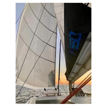 Sea Tribe Yachts Sea-Tribe DH550 Valerie