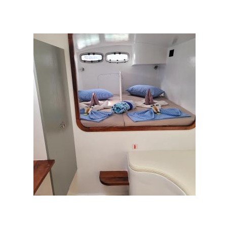 Sea Tribe Yachts Sea-Tribe DH550 Valerie