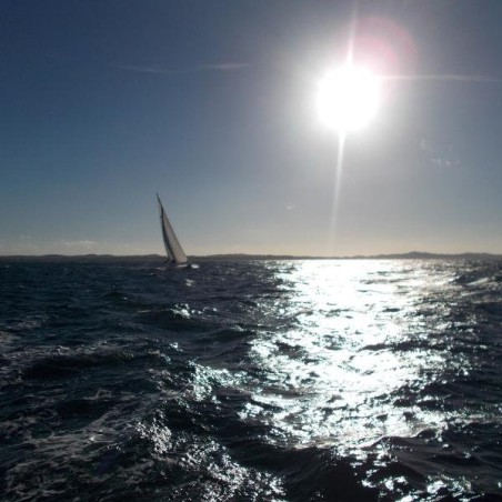 Bavaria Yachtbau Bavaria Cruiser 51 Style - 5 cab. Lina