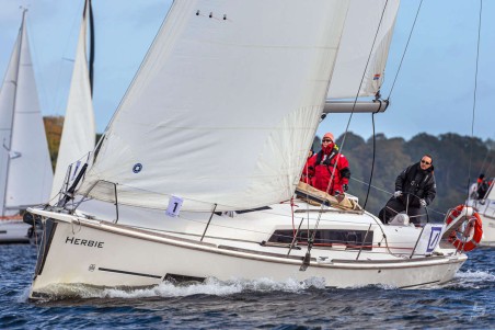 Dufour Yachts Dufour 382 GL Herbie