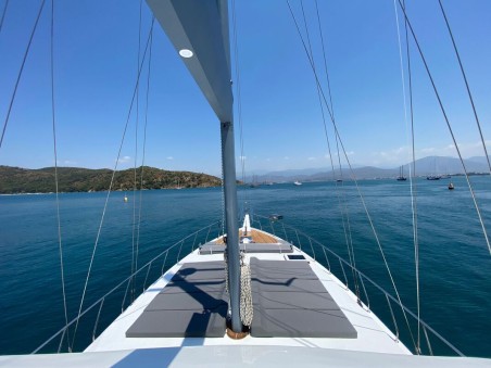 Unknown Albatros M Albatros M