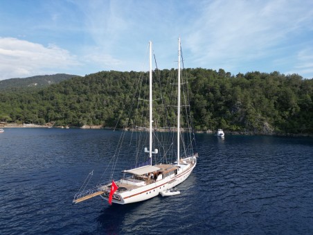 Unknown Nautilus Nautilus