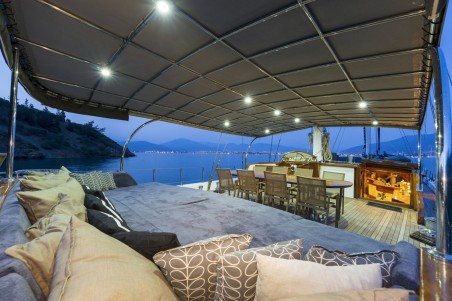 Unknown Nautilus Nautilus