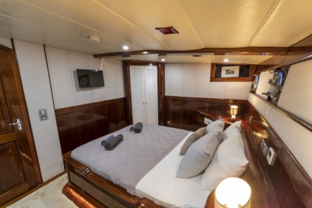 Unknown Nautilus Nautilus