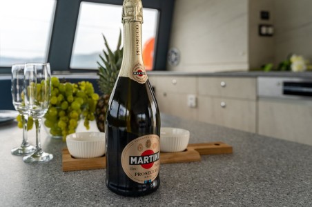 Luna Catamarans Luna 47 Power Orange