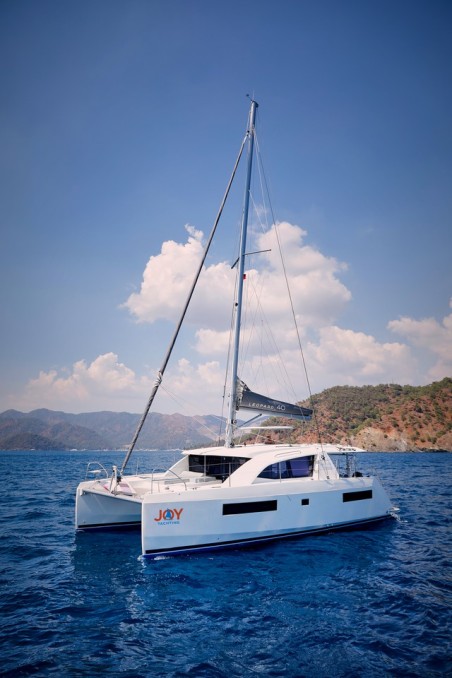 Leopard Catamarans / Robertson & Caine Leopard 40 Panda Joy