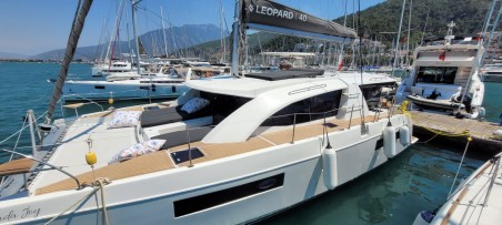 Leopard Catamarans / Robertson & Caine Leopard 40 Panda Joy