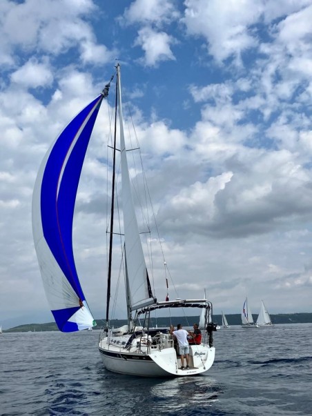 Elan Marine Elan 45 Maslina