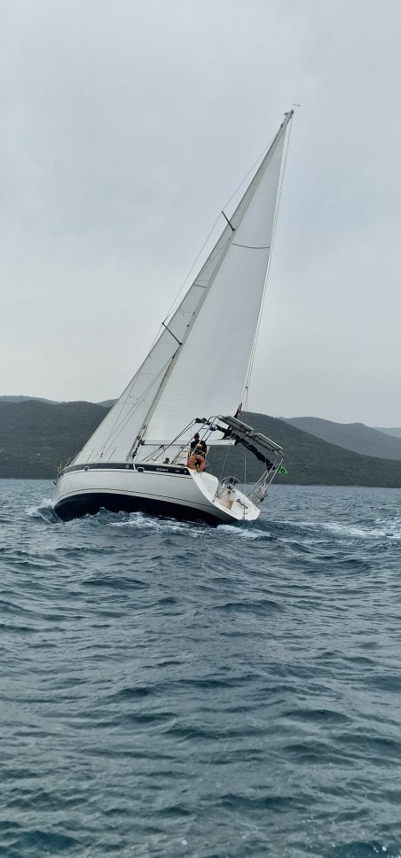 Elan Marine Elan 45 Maslina