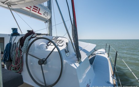 Neel Neel 43 Evidence