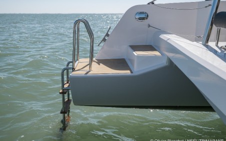 Neel Neel 43 Evidence