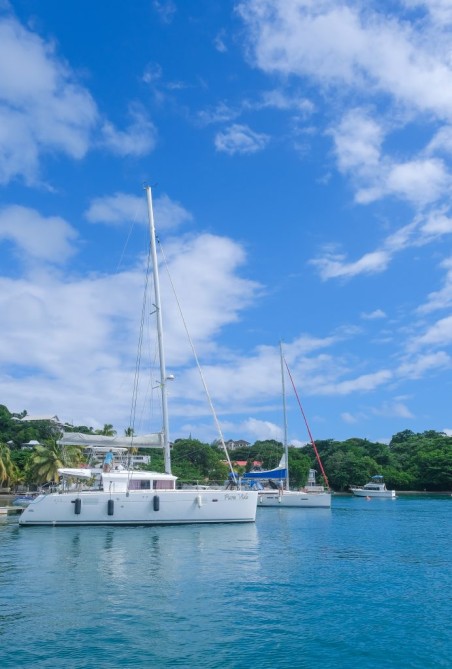 Lagoon-Bénéteau Lagoon 450 - 4 cab. Pura Vida