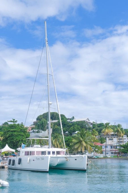 Lagoon-Bénéteau Lagoon 450 - 4 cab. Pura Vida