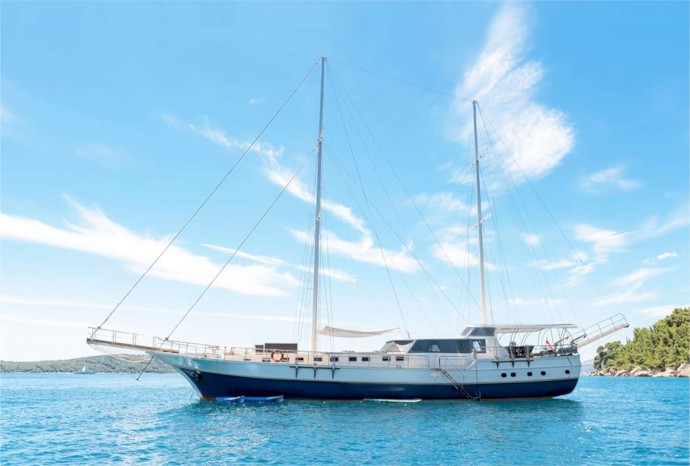 Unknown Nautilus Nautilus