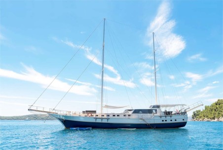 Unknown Nautilus Nautilus