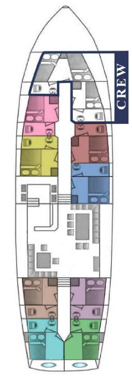 Unknown Nautilus Nautilus
