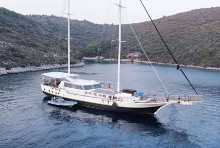 Unknown Nautilus Nautilus