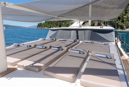 Unknown Nautilus Nautilus