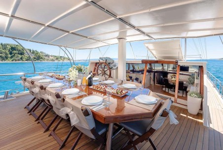 Unknown Nautilus Nautilus