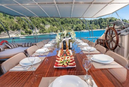 Unknown Nautilus Nautilus