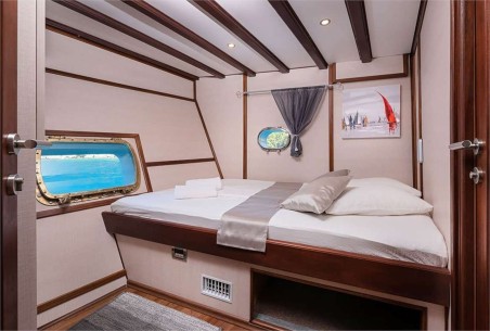 Unknown Nautilus Nautilus