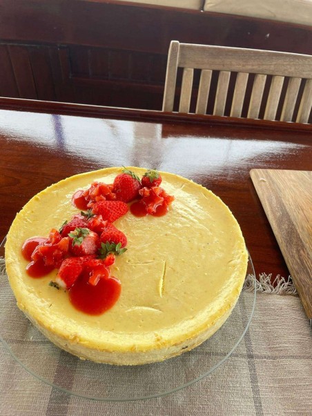 Unknown Nautilus Nautilus