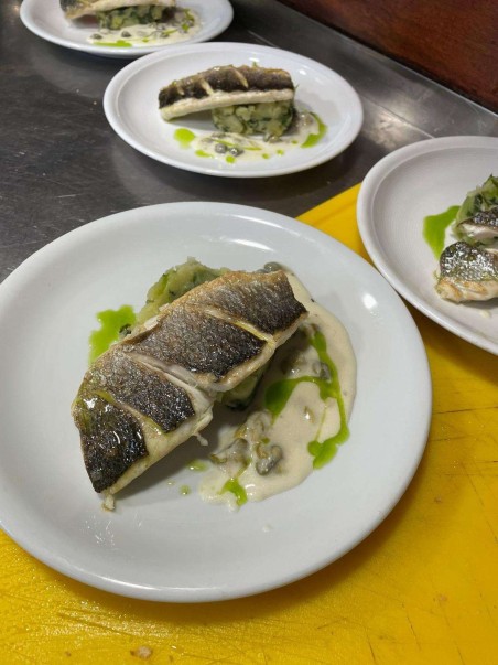 Unknown Nautilus Nautilus