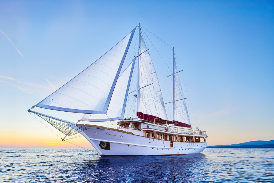 Custom Made Cataleya Cataleya