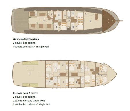Custom Made Cataleya Cataleya