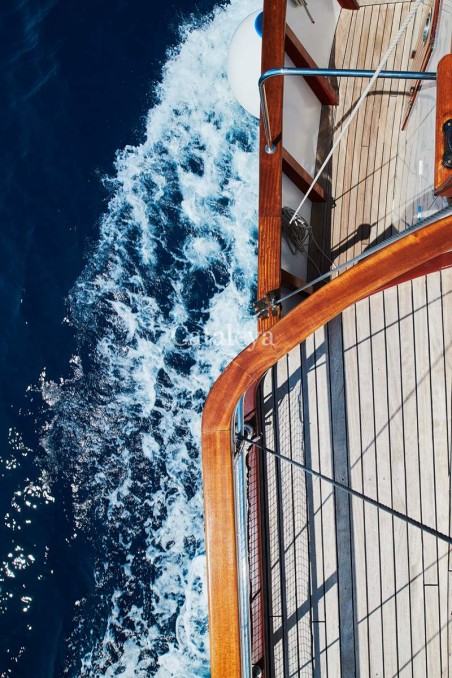 Custom Made Cataleya Cataleya