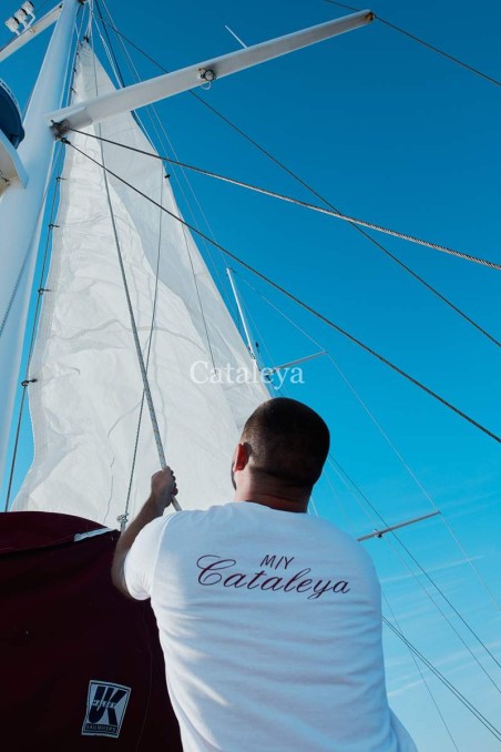 Custom Made Cataleya Cataleya