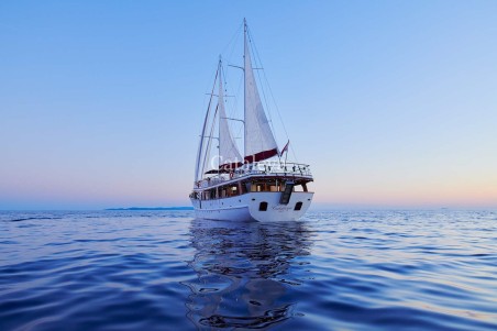 Custom Made Cataleya Cataleya