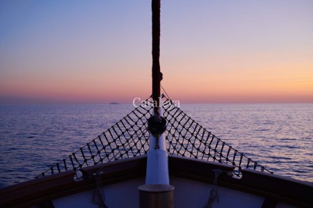 Custom Made Cataleya Cataleya