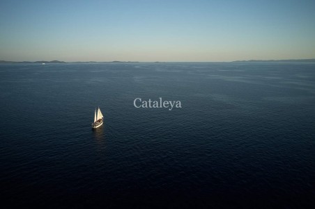 Custom Made Cataleya Cataleya