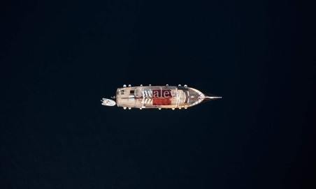 Custom Made Cataleya Cataleya