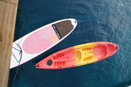 Unknown Fortuna Fortuna