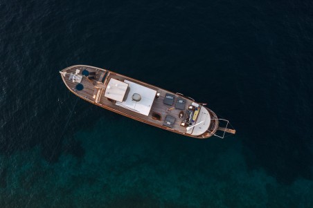 Custom Made Gallant Gallant