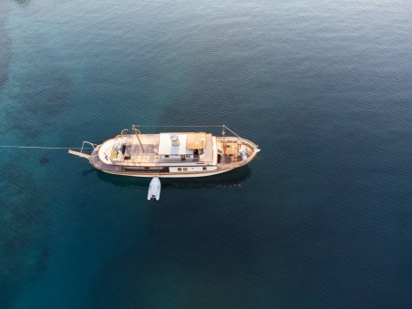 Custom Made Gallant Gallant