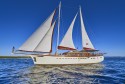 Custom Made M/S Morning Star Morning Star - 4