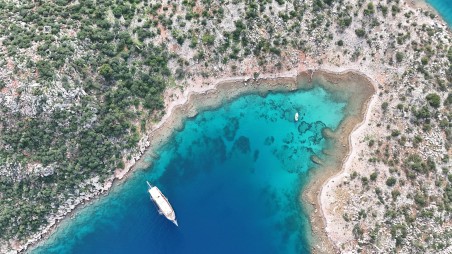 Custom Made Fortuna* Fortuna