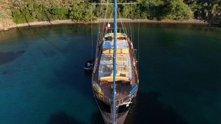 Custom Made Fortuna* Fortuna