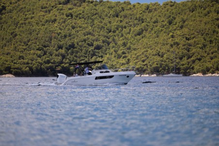 Mingolla Brava 28 WA No Name