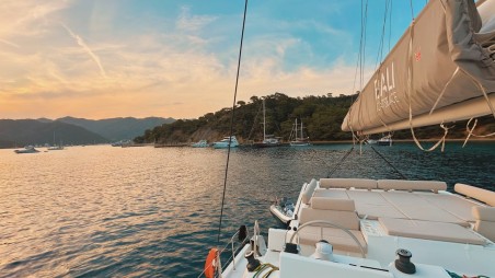 Catana Group Bali Catspace Jomo