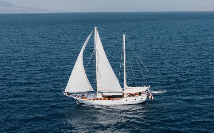 Custom Made Beyaz Lale Beyaz Lale