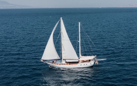 Custom Made Beyaz Lale Beyaz Lale